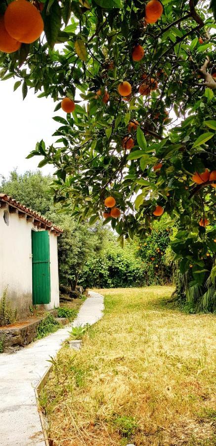L'Aranceto Villa Acireale Exterior foto