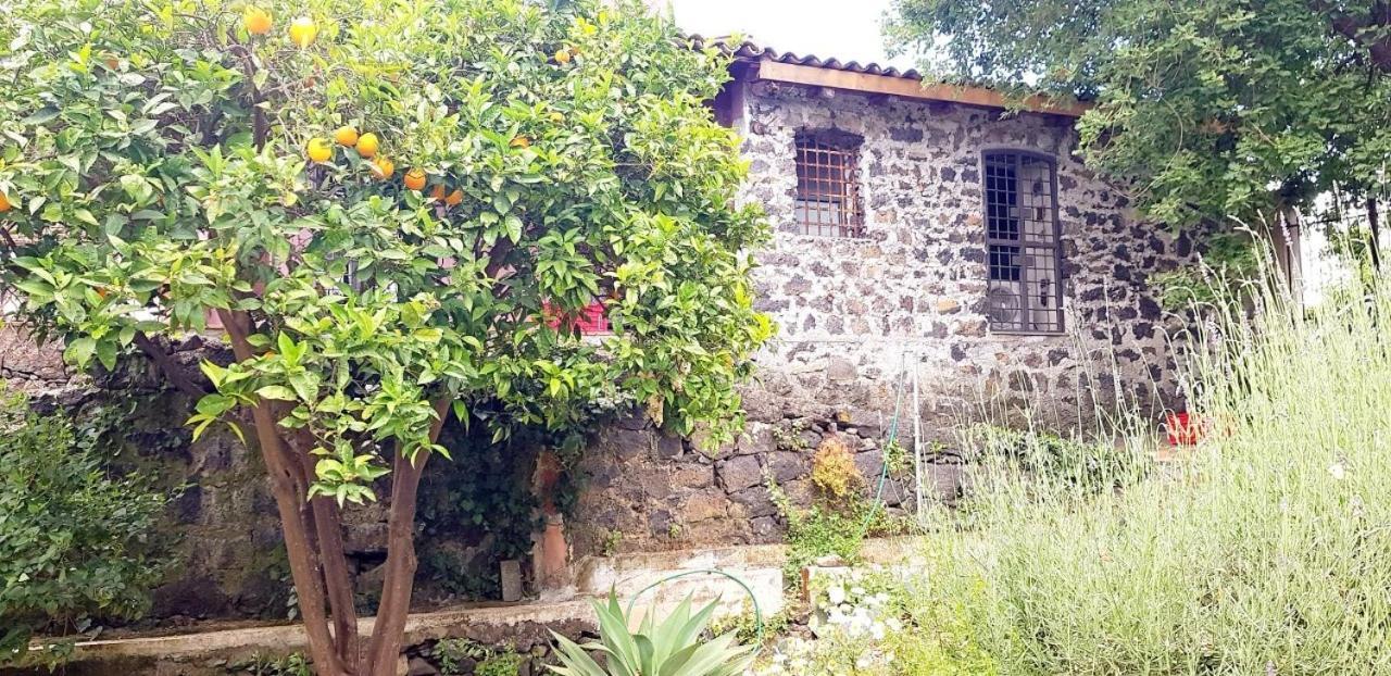 L'Aranceto Villa Acireale Exterior foto